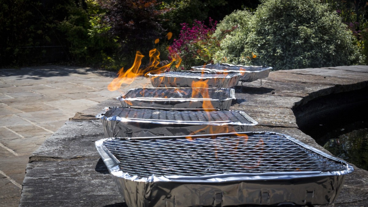 Walczą o zakazanie grilli jednorazowych. Problem pożarów i zaśmiecania zgłaszają od kilku lat