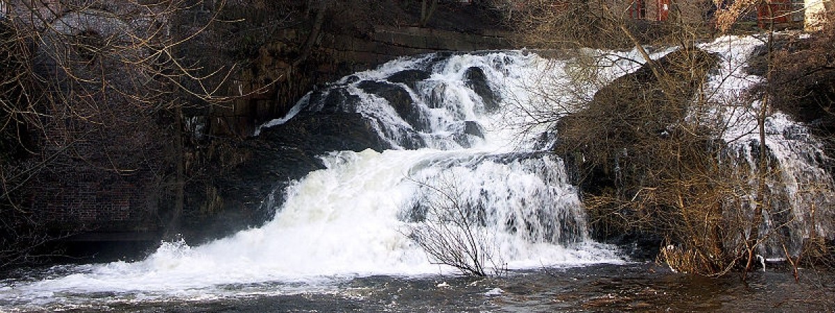 Jak spędzić z dzieckiem weekend w… Oslo? Do wyboru basen Tøyenbadet,  Muzeum Historii Naturalnej i wiele innych