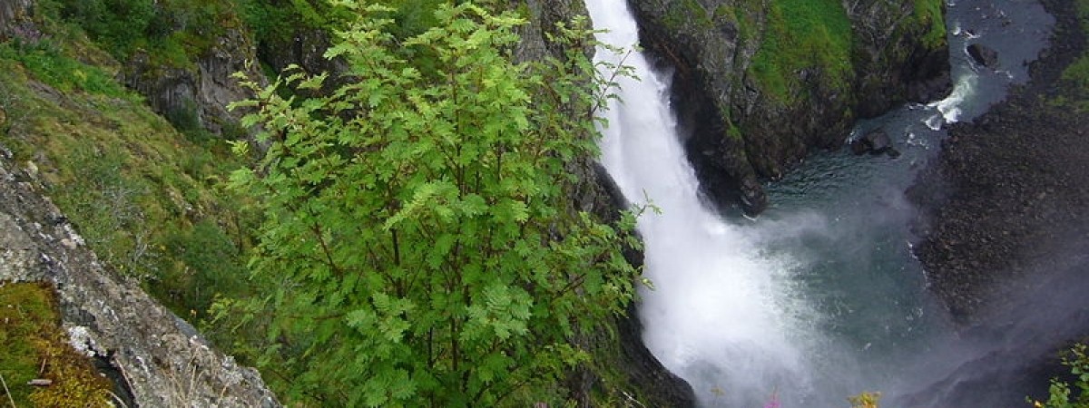 Vøringsfossen: platforma „ratująca życie”. Dzięki niej już nikt nie zginie?