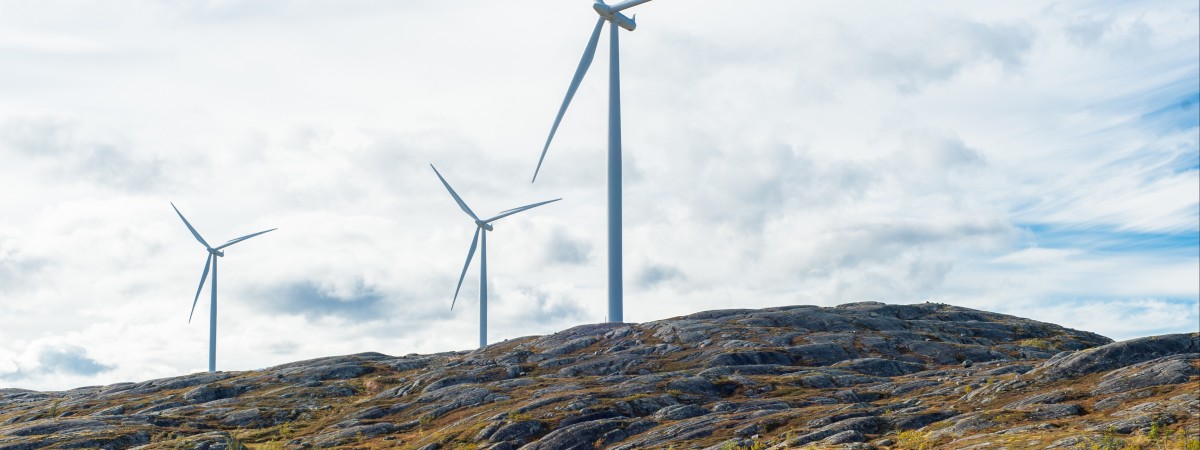 Ponad 100 000 nowych miejsc pracy w przemyśle i zielonej energii: nowe prognozy rynkowe