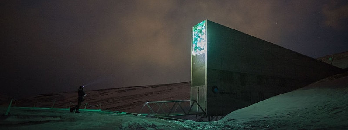 Na Svalbardzie powstała Biblioteka Końca Świata. Na wypadek kataklizmu