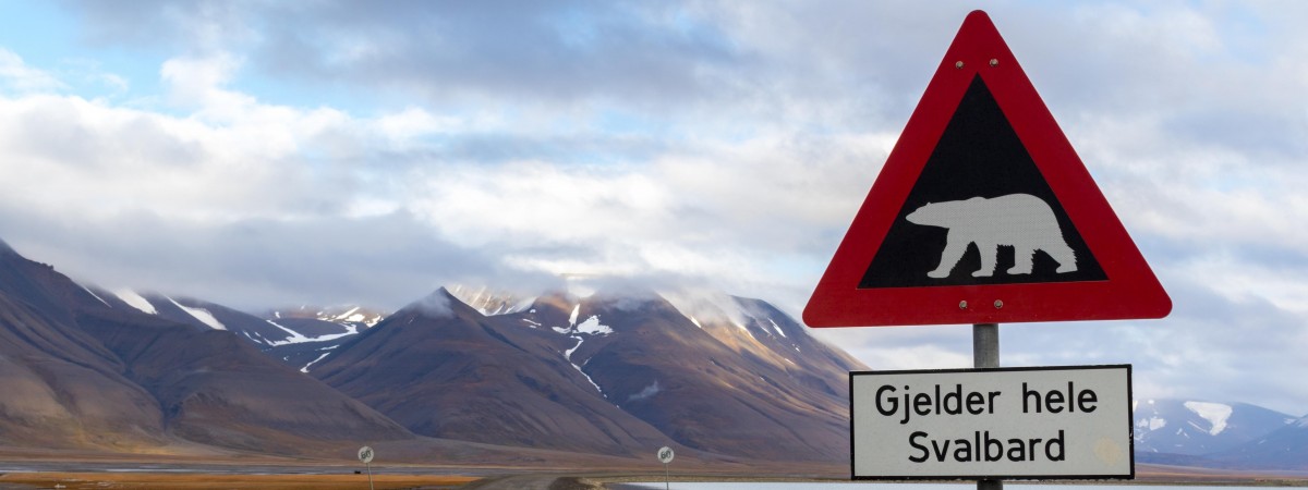 Mieszkańcy Norwegii znów mogą odwiedzać arktyczną prowincję