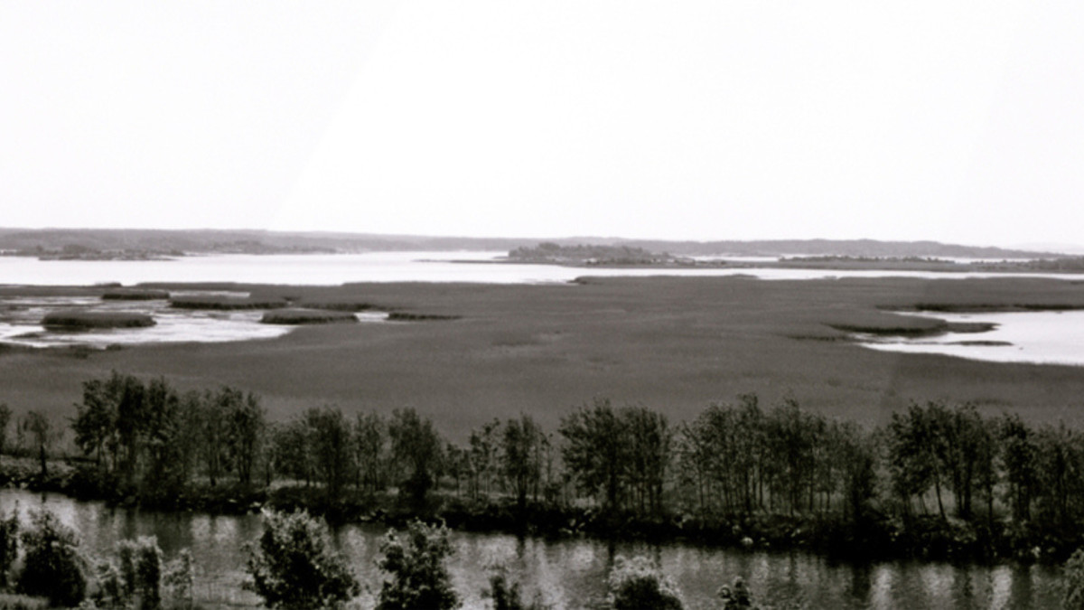 Rezerwat ptaków zagrożony. Do rzeki przedostało się 30 000 litrów oleju