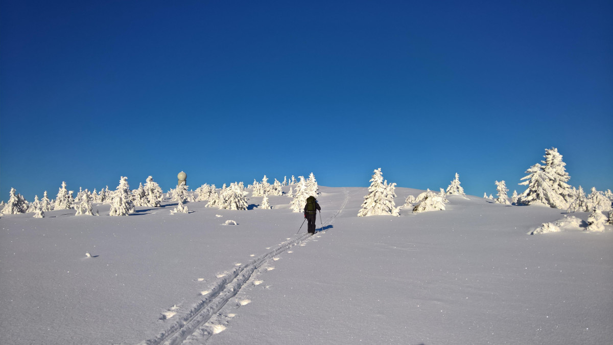 Norweska wioska europejskim biegunem zimna. Różnica temperatur wyniosła 56 stopni