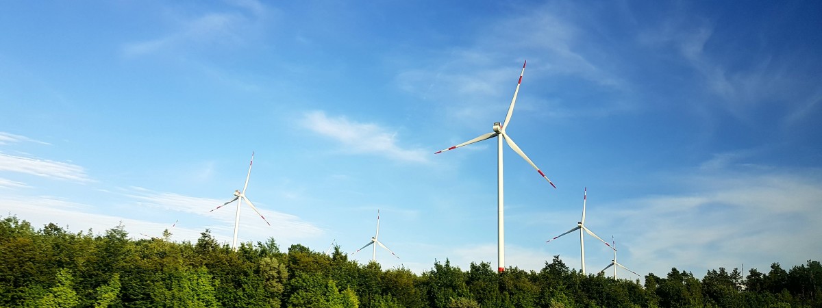 Energia wiatrowa traci poparcie Norwegów: tylko pięć gmin chce farm na lądzie