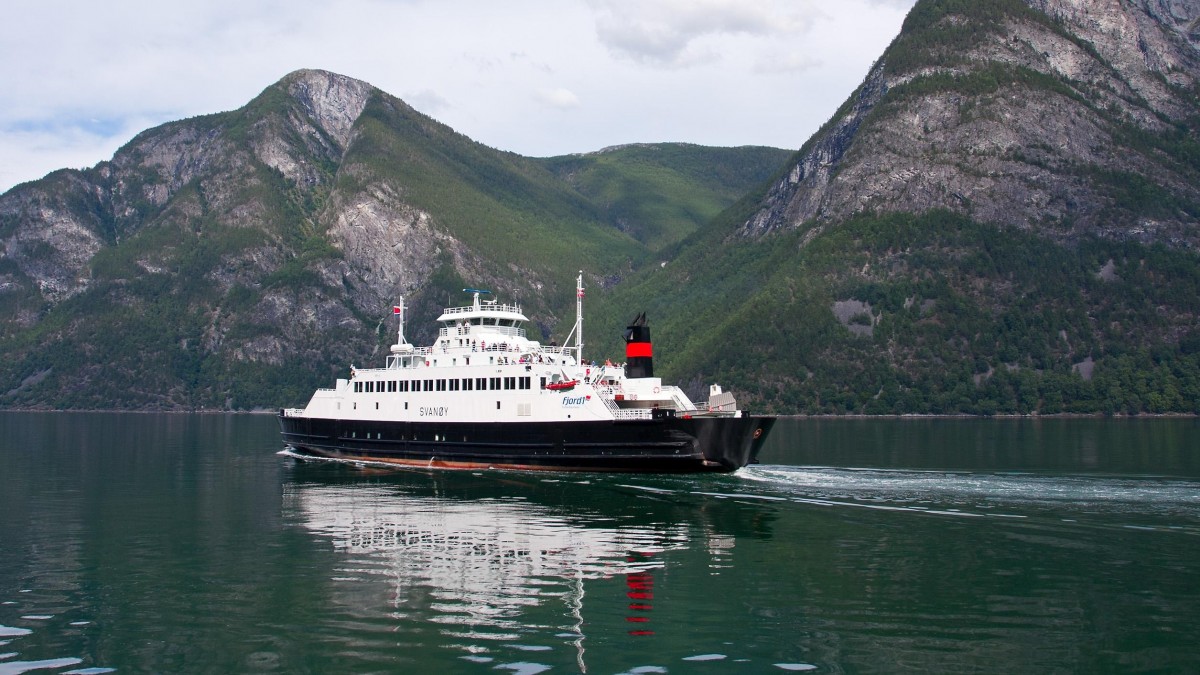 Bilety promowe będą o połowę tańsze. Rząd obiecał obniżkę cen