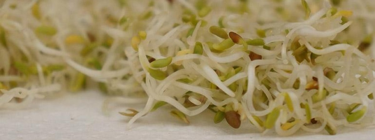 Macie to w lodówce? Lepiej wyrzućcie