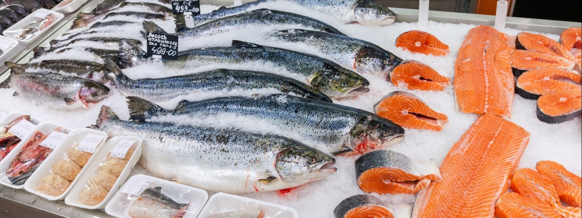 Starasz się zdrowo odżywiać? Mamy dobrą wiadomość: ekologiczny łosoś z Norwegii trafi na polskie stoły