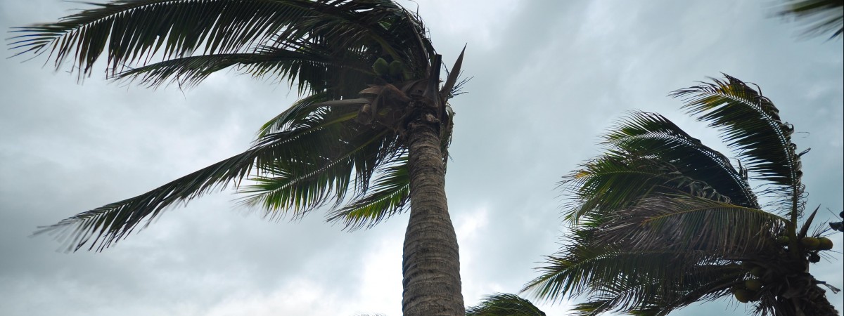 Norwescy eksperci IT będę pomagać na Karaibach po huraganie