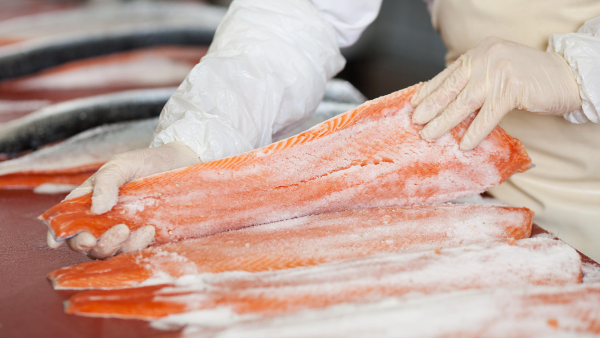 Co dalej z norweskim łososiem? Urzędnicy chcą rewolucji w przepisach