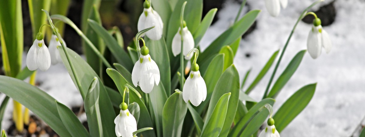 To była najcieplejsza zima od 120 lat. Padały rekordy temperatur 