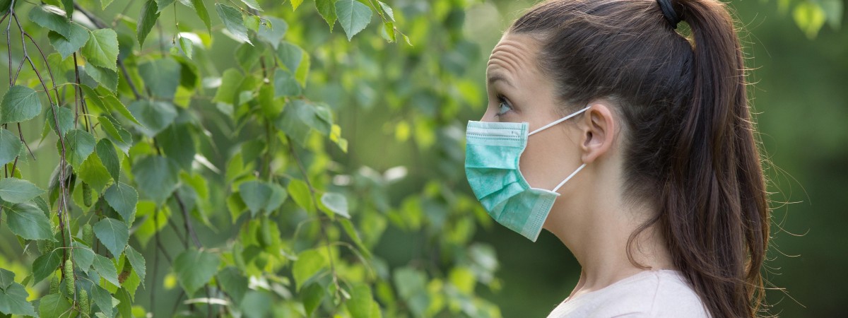 Sezon pylenia brzozy: prawie milion osób odczuje objawy podobne do koronawirusa
