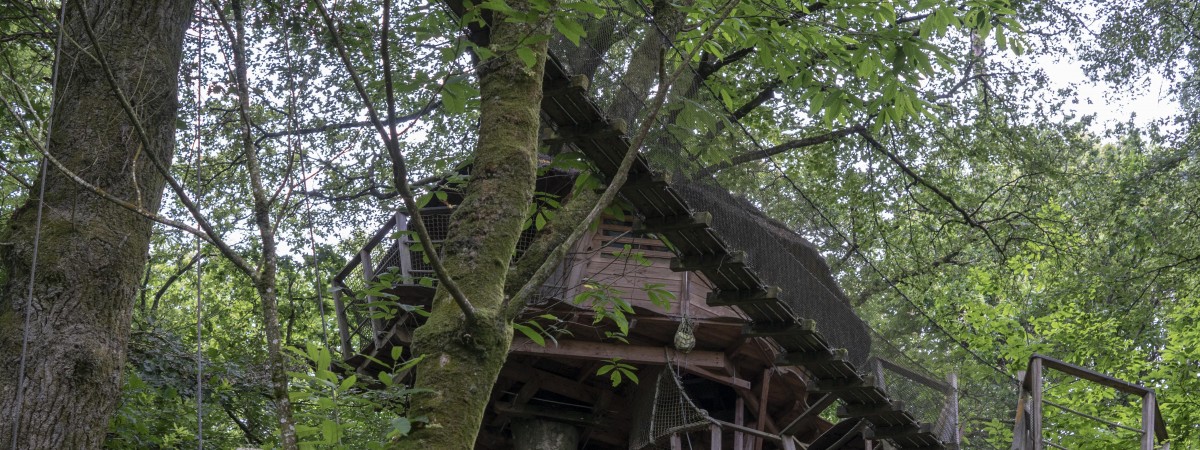 W koronach drzew, w powietrzu albo w beczce: nietypowe noclegi w kraju fiordów