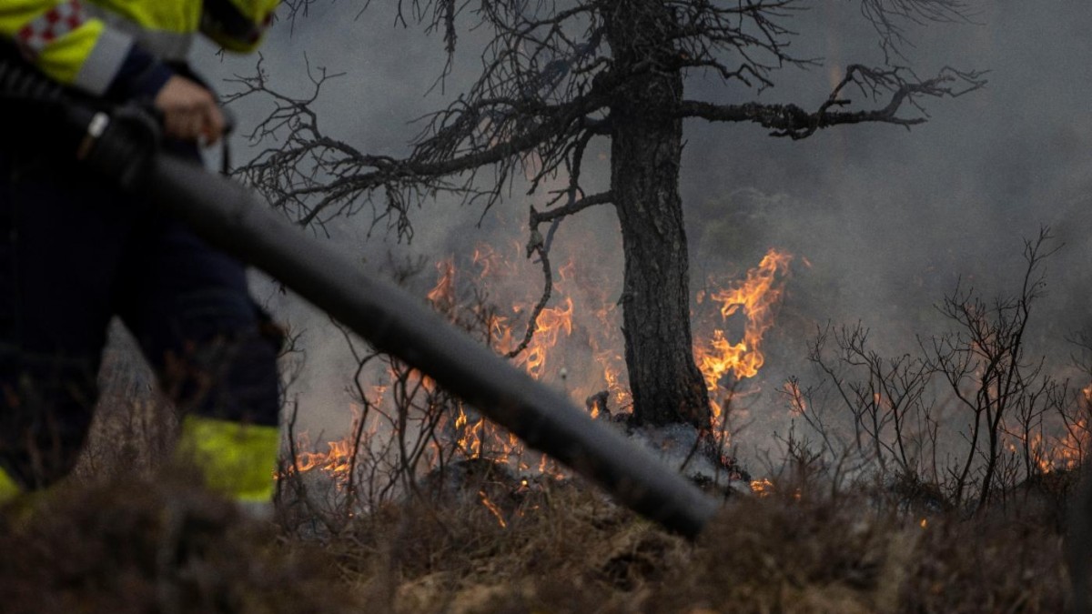 Dziś Noc Świętojańska. W wielu gminach ogniska jednak nie zapłoną