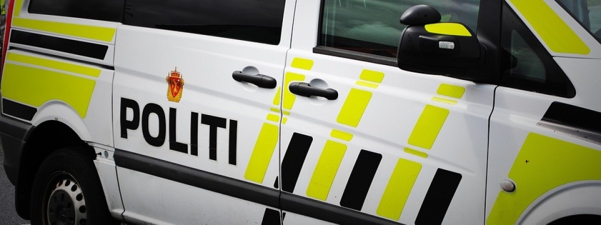 Ratownicy i policja w gotowości na Sylwestra. W stolicy rozdysponowano dodatkowe zastępy i patrole 