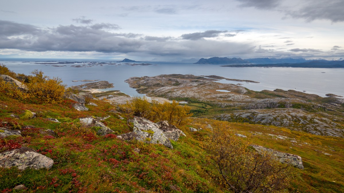 Od ponad stu lat nikt tu nie mieszkał. Teraz wyspa szuka nowego właściciela