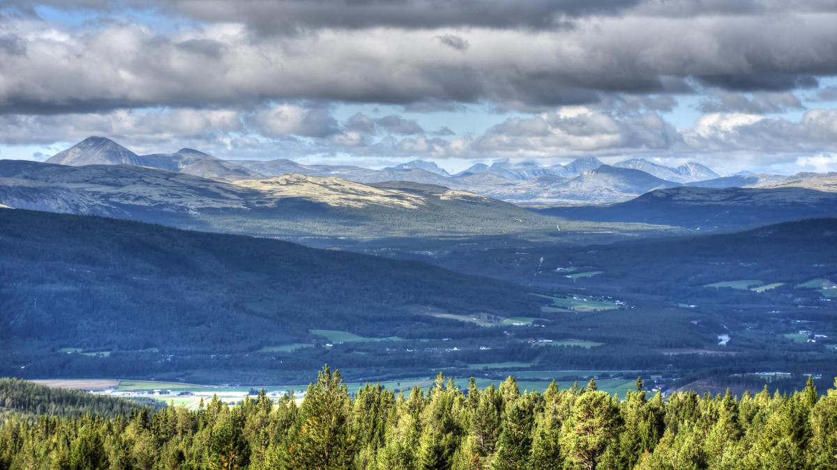 Lato czy zima? Nocny mróz zaskoczył mieszkańców Norwegii