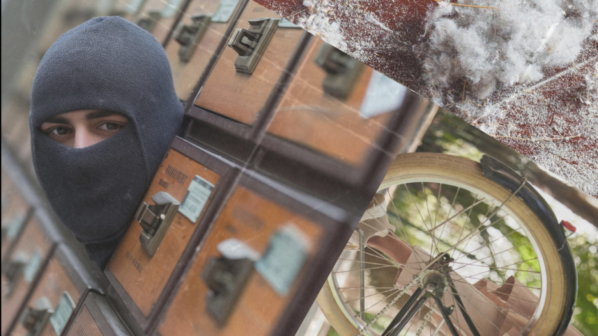 Broda w skrzynce, kurz i przejażdżka rowerowa: sprawdź swoją wiedzę o norweskich idiomach [cz.2]