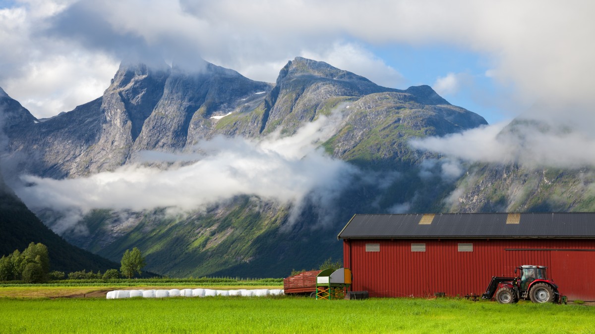 Zagraniczni pracownicy sezonowi za drodzy dla Norwegów. Jednym i drugim interes się nie opłaca