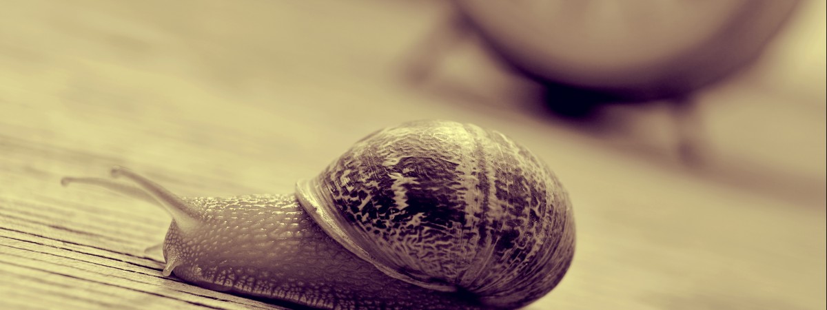 „Rób to wolniej”. O cnocie cierpliwości