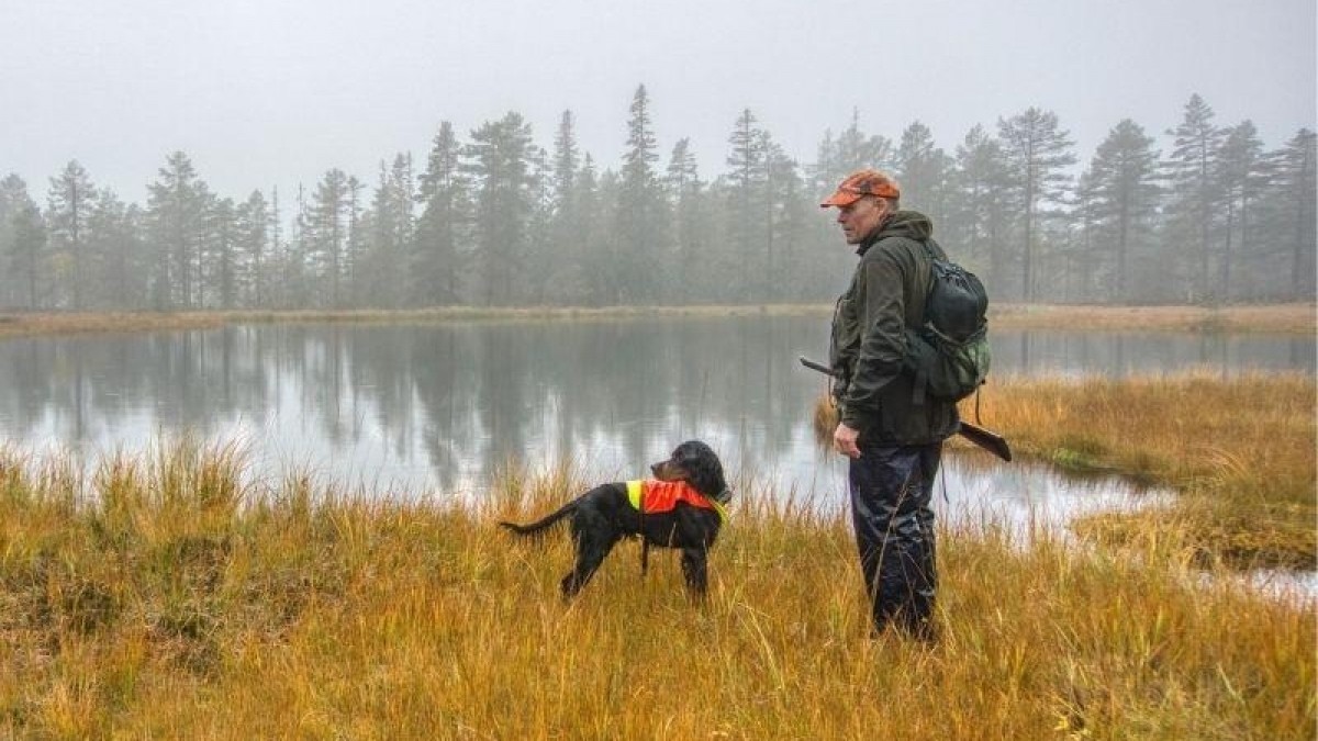 Trwa norweski sezon polowań: myśliwi zabiją nawet 200 tys. zwierząt