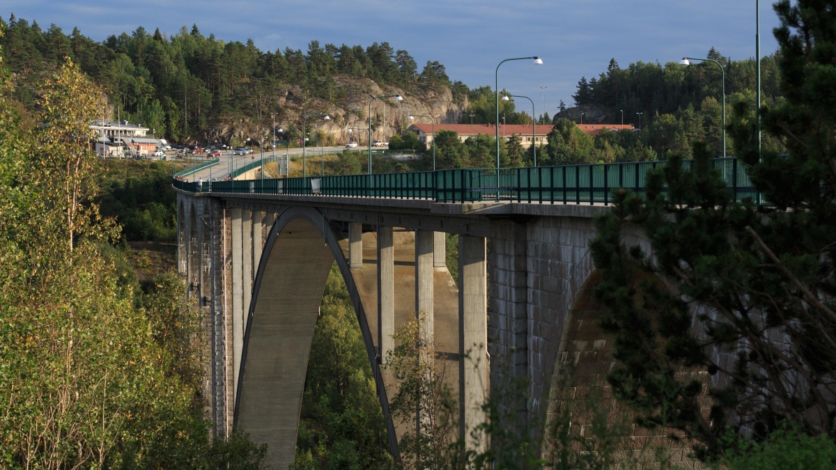 Długie kolejki na przejściu granicznym w Svinesund. Policja poprosi o pomoc Gwardię Narodową