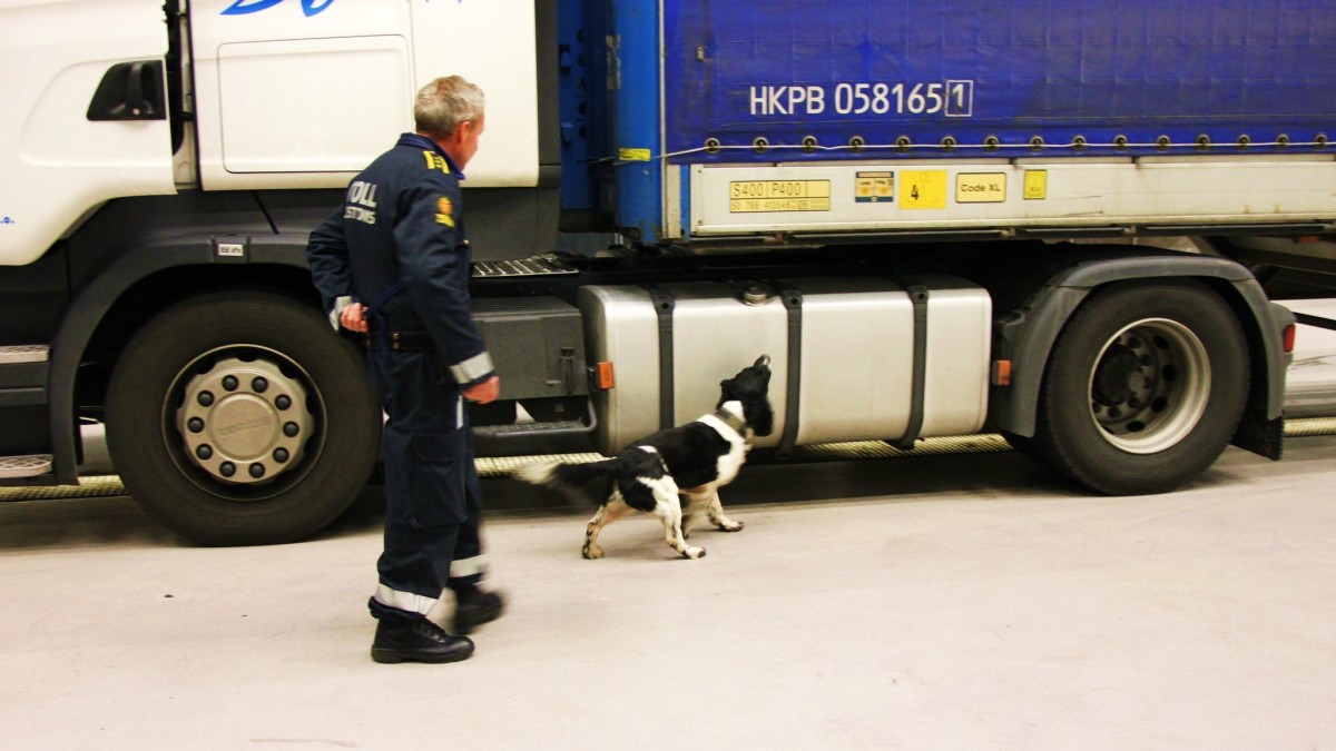 11 milionów koron w gotówce i prawie 145 kg kokainy: największe konfiskaty celników na przestrzeni lat