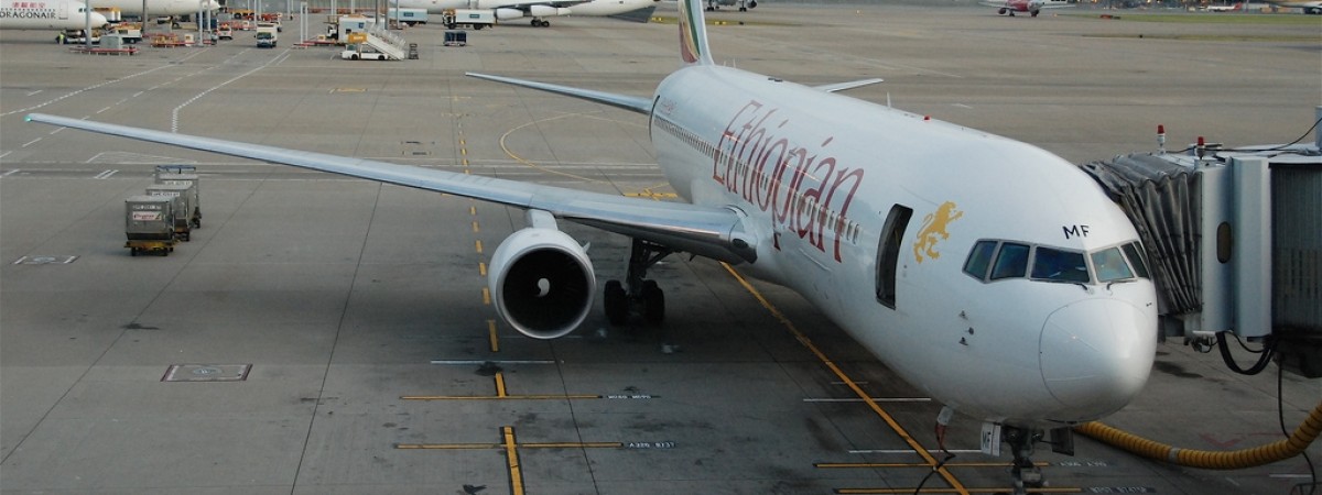 Polacy i Norweżka zginęli w katastrofie samolotu. Lecieli do Kenii