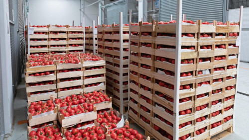 Zimą zabraknie warzyw z chłodni? Norweskich rolników nie stać na magazynowanie produktów