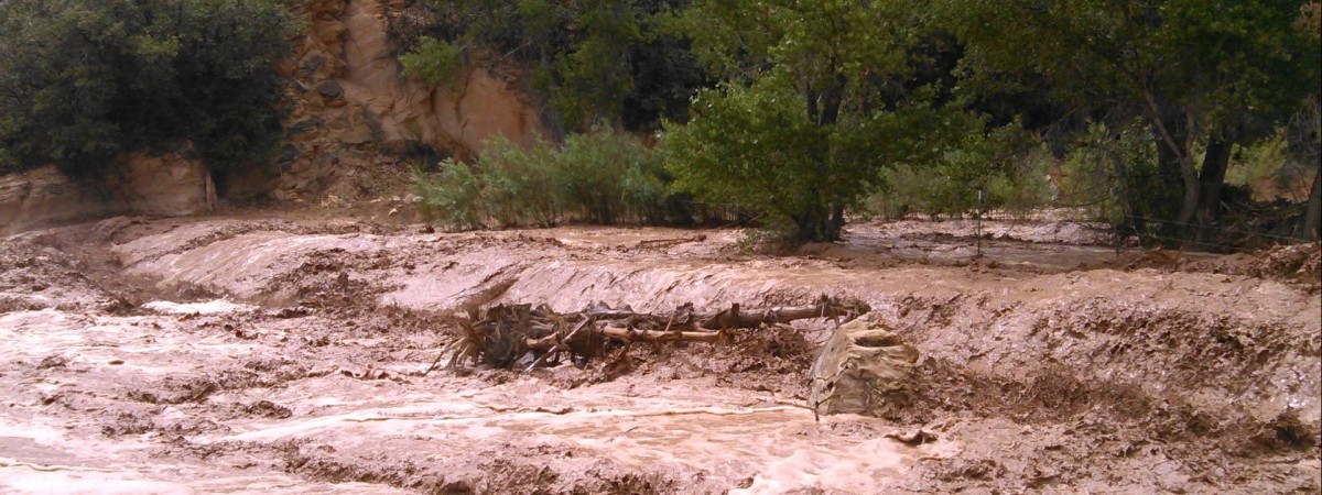 Katastrofalne skutki lawin w Sogn og Fjordane. Trwają poszukiwania ciała mężczyzny