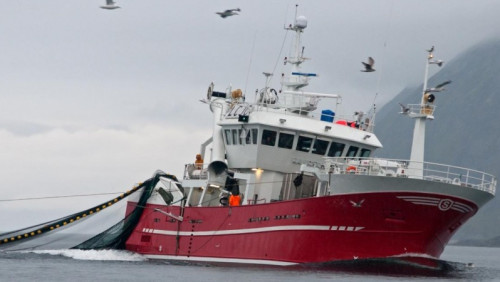 Największy norweski kuter zbudują Polacy. Budowa pochłonie 175 milionów koron