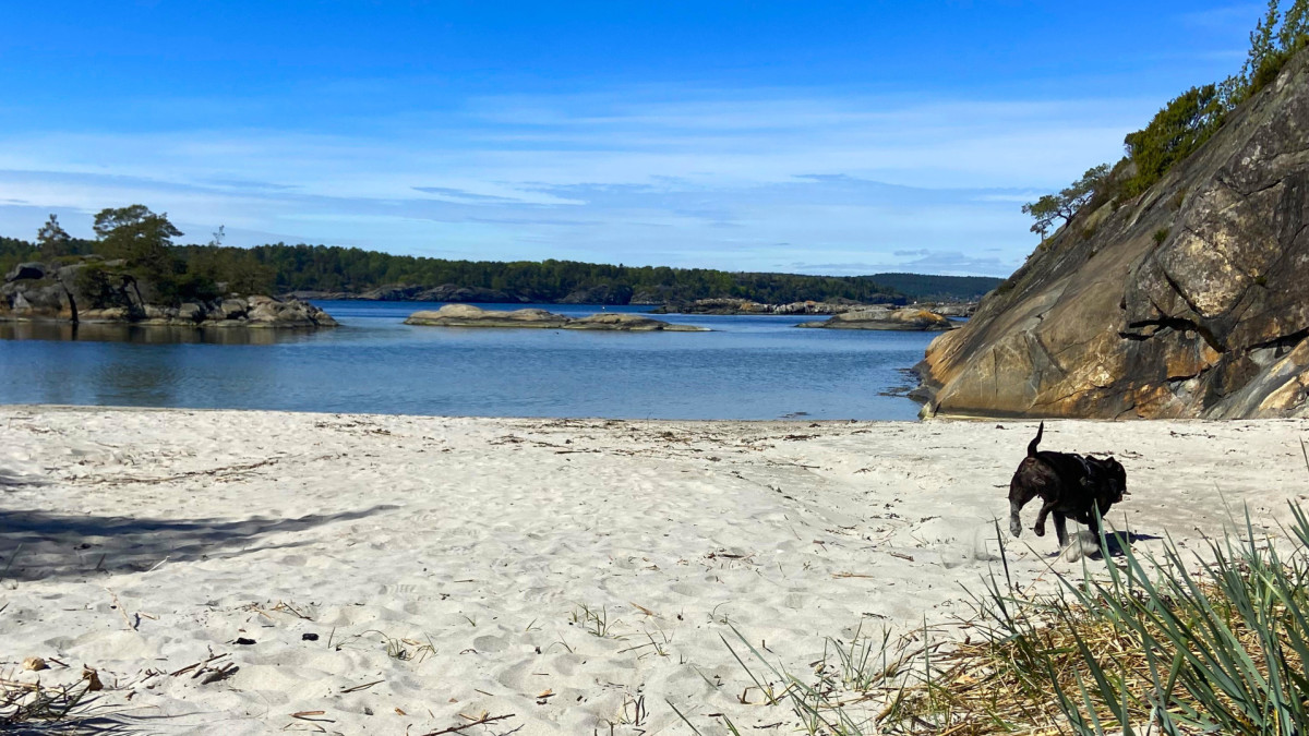 Wyjątkowo gorący kraj fiordów. Pogoda w Norwegii bije ponad stuletnie rekordy