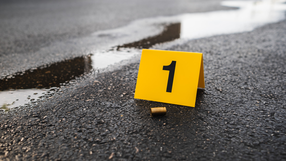 Fala morderstw w Norwegii a statystyki. Rząd obiecuje zwiększyć bezpieczeństwo