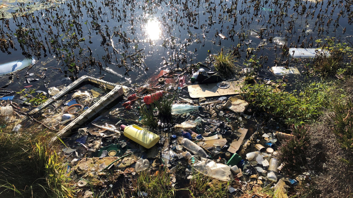 Norweska wyspa zamieniła się w śmietnik. Naukowcy walczą o jej drugie życie – bez plastiku