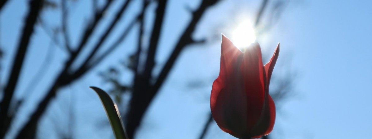 Wielkanoc w Norwegii ciepła i słoneczna. Nie obejdzie się jednak bez deszczu [PROGNOZA]