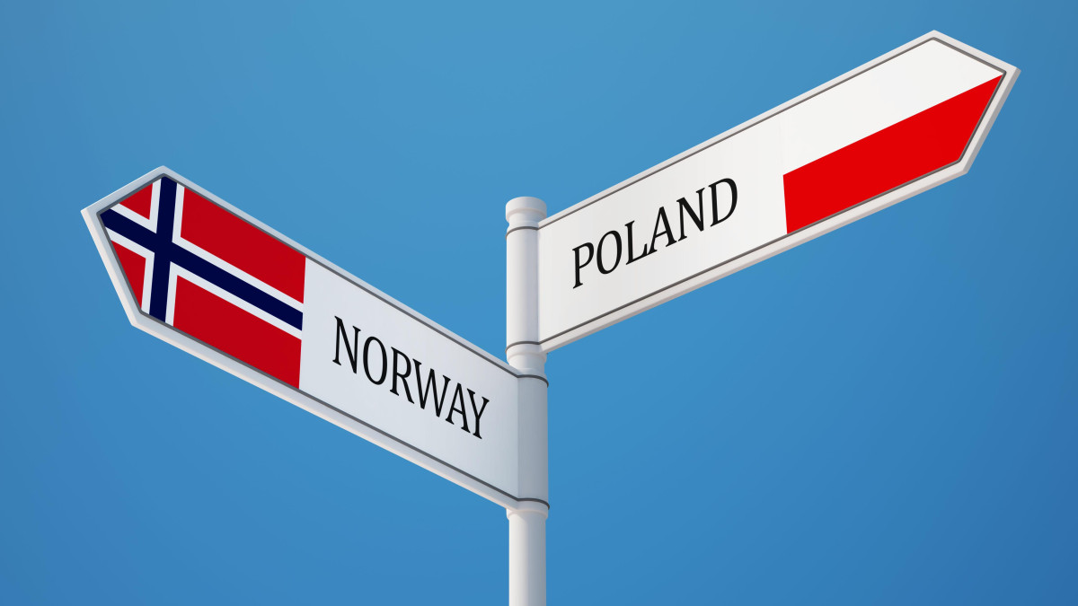 Praca, relacje, hierarchia. Trzy największe różnice pomiędzy Polakami i Norwegami