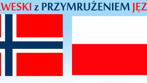 Norweski z przymrużeniem języka. Ugler i mosen – coś o paradoksach