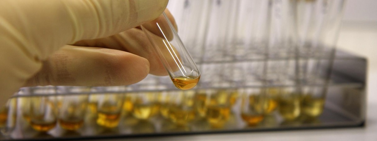 Askøy: stare zbiorniki na ścieki mogą być źródłem skażenia wody