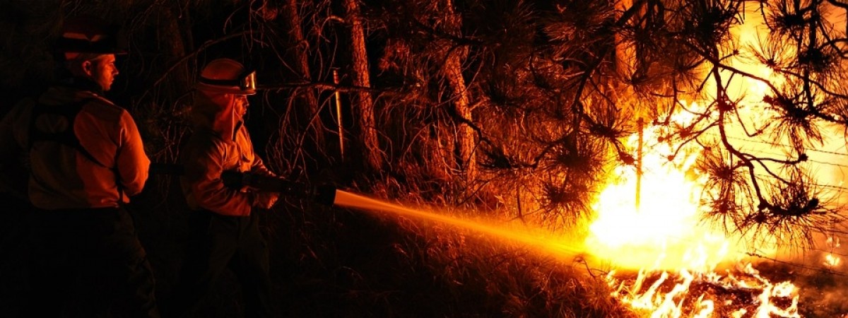 Płoną lasy w zachodniej Norwegii. Strażacy: „Sytuacja jest krytyczna”