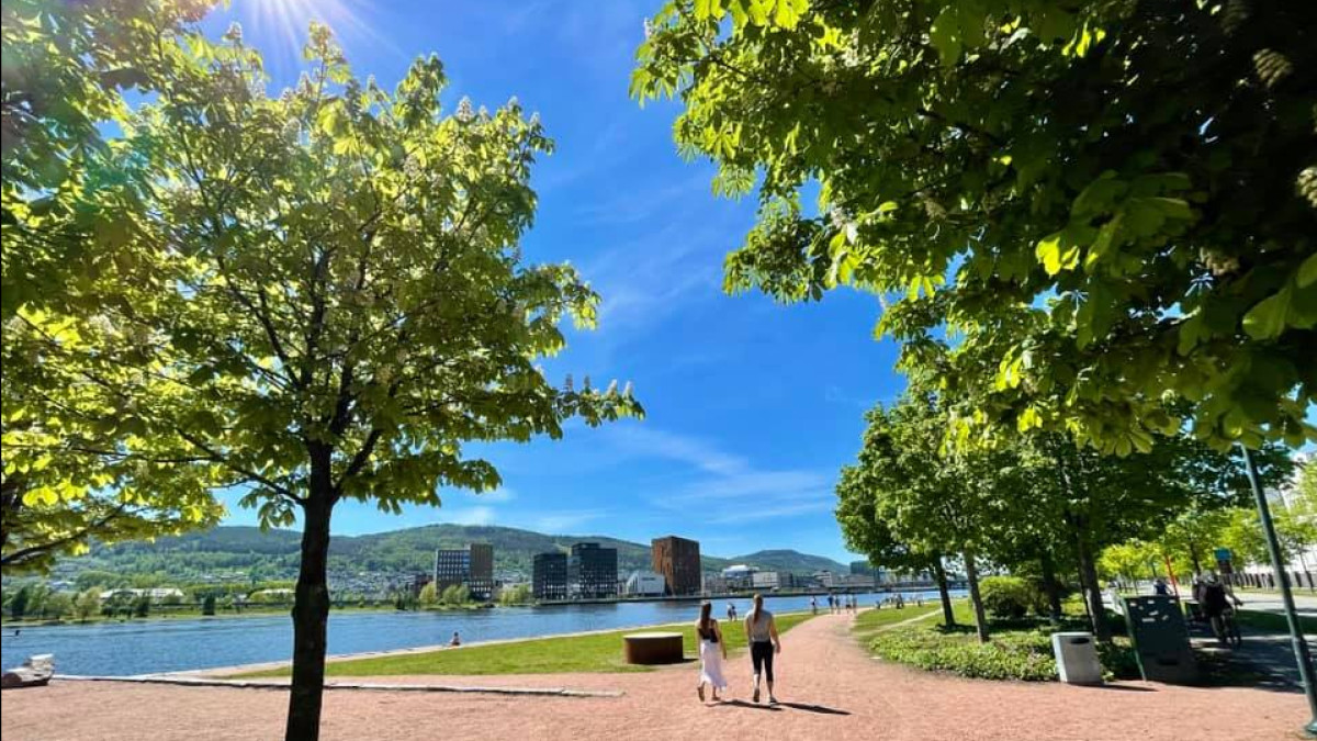 Ekstremalne lato w Norwegii. Gorące, suche i... deszczowe jednocześnie