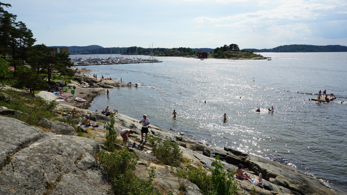 Norwegia uruchamia plan, który ma odwrócić katastrofę. ...