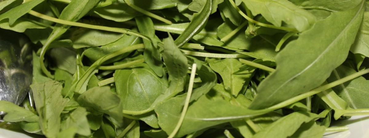 Bakterie E. coli w żywności. Supermarket prosi o zwrot opakowań
