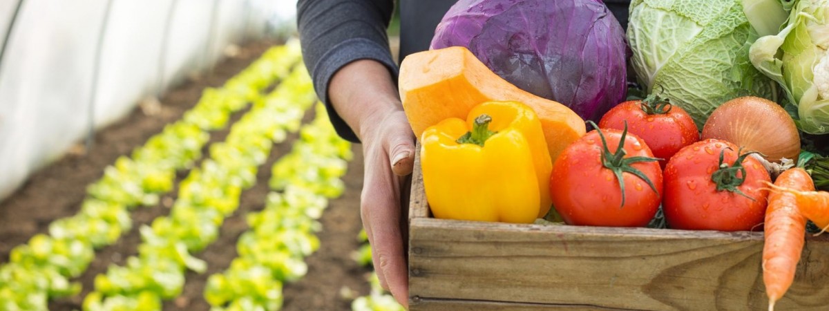 Protest rolników. Zablokowali magazyny najpopularniejszych sklepów