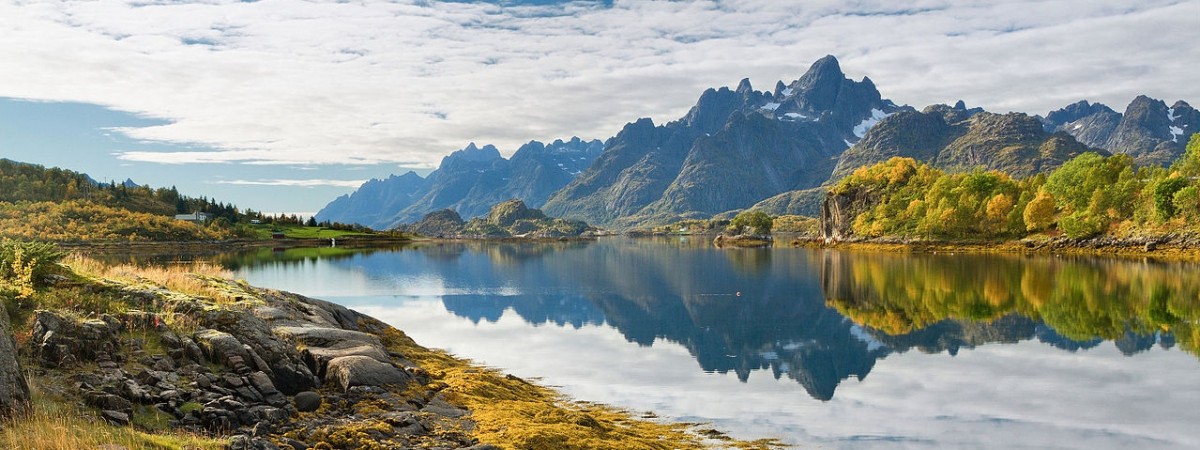Polskie sukcesy, porażki i pieniądze: ulubione artykuły czytelników Mojej Norwegii [TOP 2017]