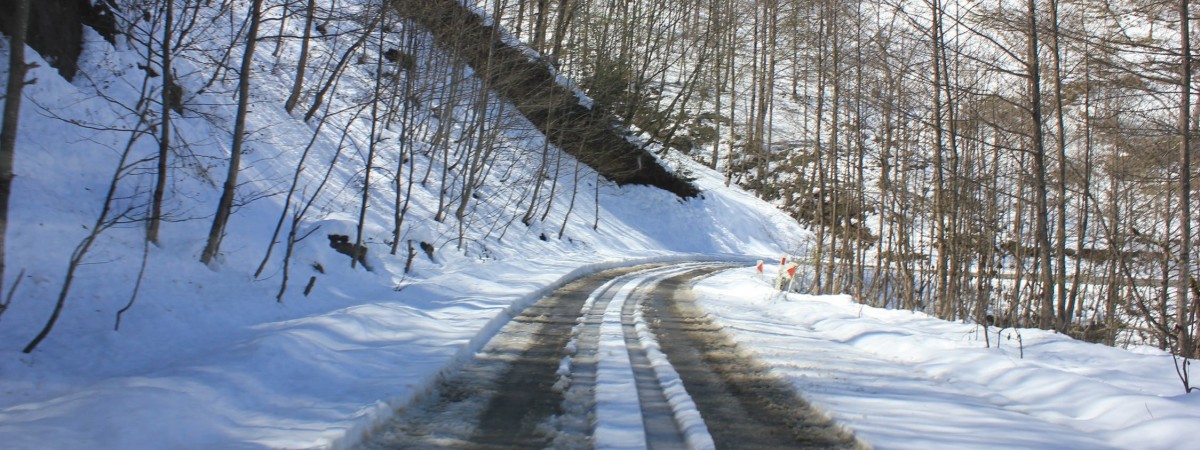 Rok temu upały, teraz śnieg. Pogoda pod koniec maja zaskoczyła Norwegów