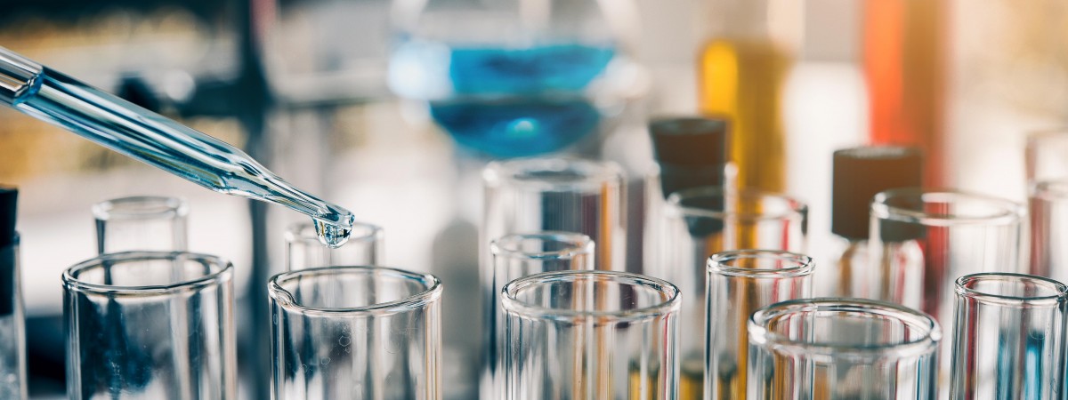 Przełomowe odkrycie norweskich naukowców: ten organizm z dna morskiego zabija komórki raka piersi