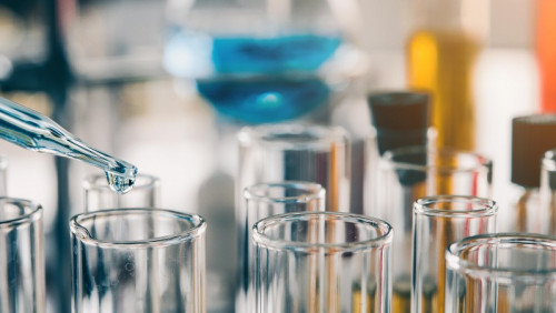 Przełomowe odkrycie norweskich naukowców: ten organizm z dna morskiego zabija komórki raka piersi