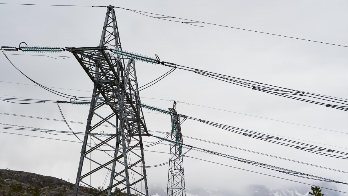 Blisko trzy miliardy koron dla firm. Rząd chce walczyć ze skutkami kryzysu