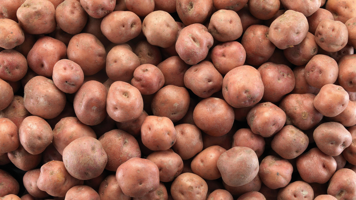 Third Year Without... the Norwegian Potato. The Reason Is Surprising