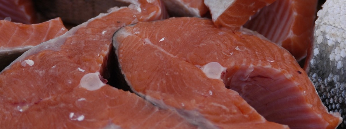 Kraj fiordów zarobił na rybach prawie 100 miliardów koron. To najwięcej w historii